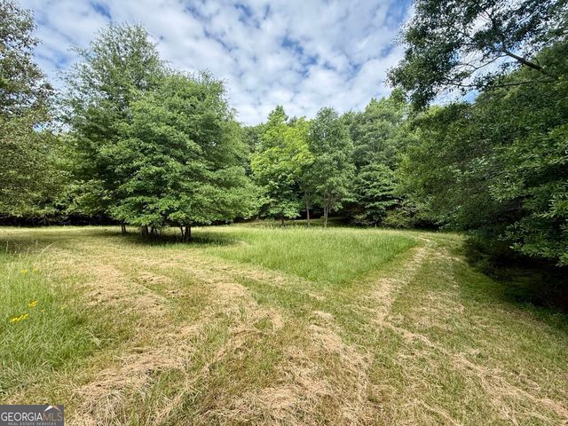 1298 Ray Weaver Road, Canon, GA 30520