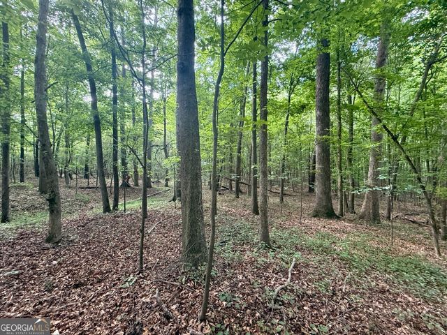 1298 Ray Weaver Road, Canon, GA 30520