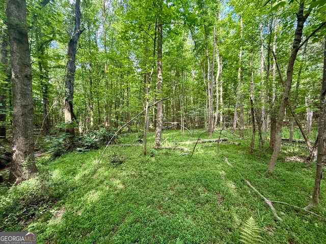 1298 Ray Weaver Road, Canon, GA 30520