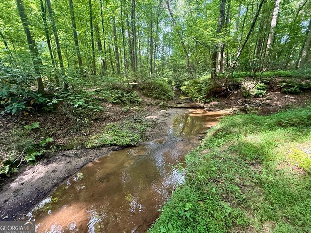1298 Ray Weaver Road, Canon, GA 30520