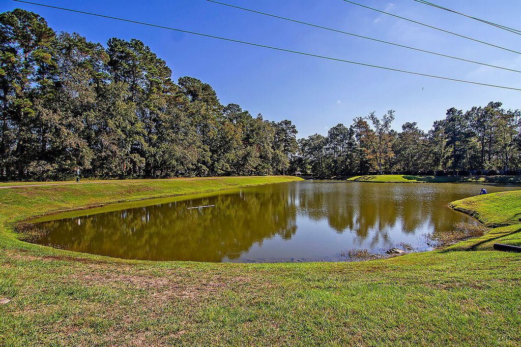 Image 47 of property listing at 100 Hyacinth Street, Summerville, SC 29483