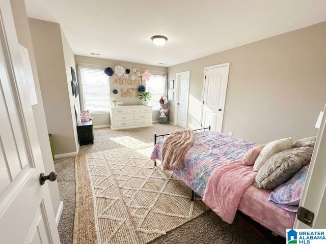 800 BRADDOCK ROAD E, Springville, AL 35146