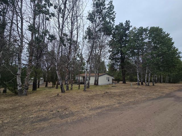 2919 Forest View Drive, Chiloquin, OR 97624