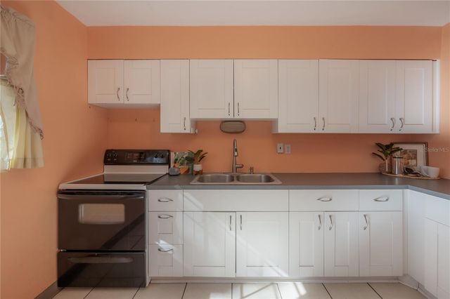 1517 E EMMA STREET, Tampa, FL 33610