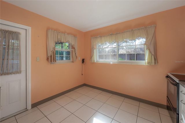 1517 E EMMA STREET, Tampa, FL 33610