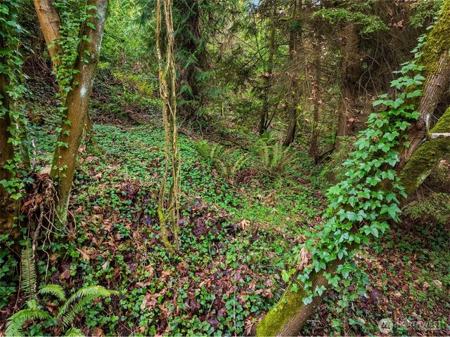 43 Fernbrook Drive, Mercer Island, WA 98040