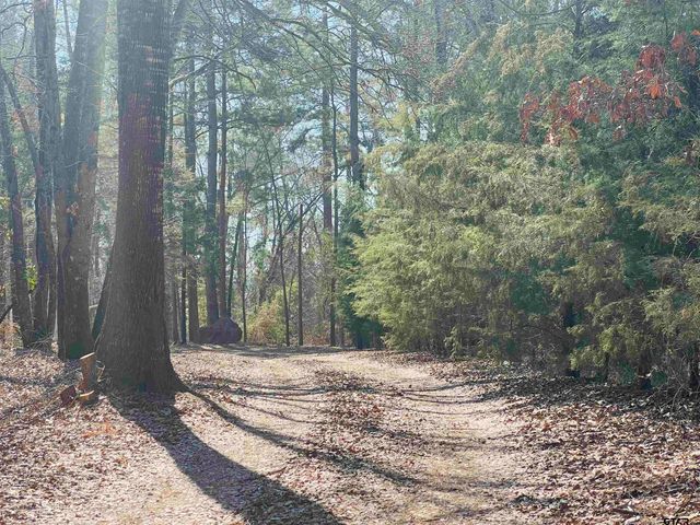 6961 CR 447, Laneville, TX 75667