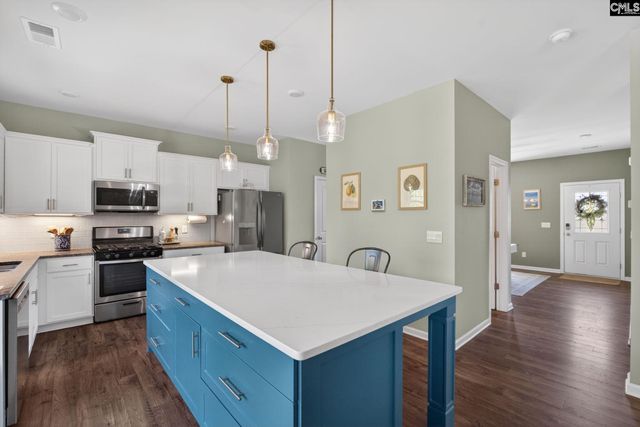 1619 Birch Grain Road, Chapin, SC 29036