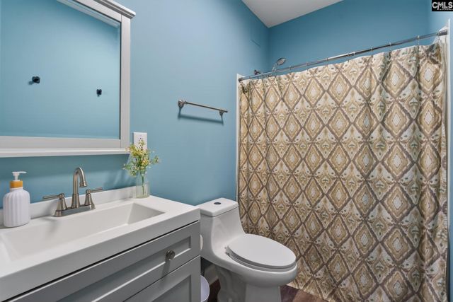 1619 Birch Grain Road, Chapin, SC 29036