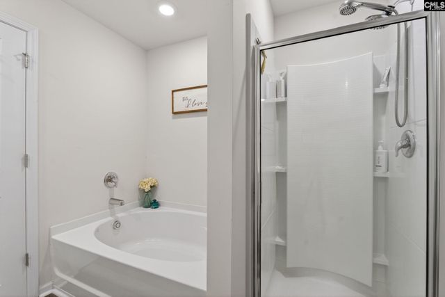 1619 Birch Grain Road, Chapin, SC 29036