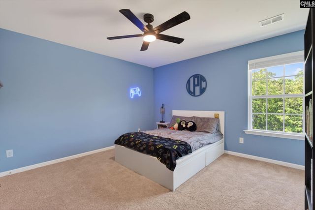 1619 Birch Grain Road, Chapin, SC 29036
