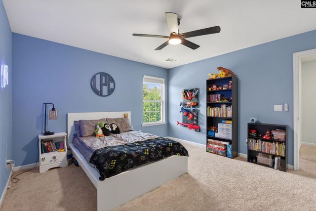 1619 Birch Grain Road, Chapin, SC 29036