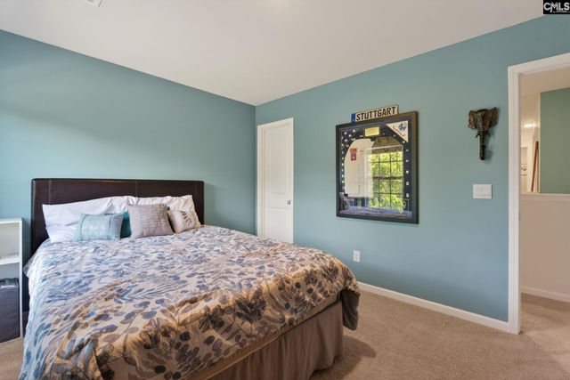 1619 Birch Grain Road, Chapin, SC 29036