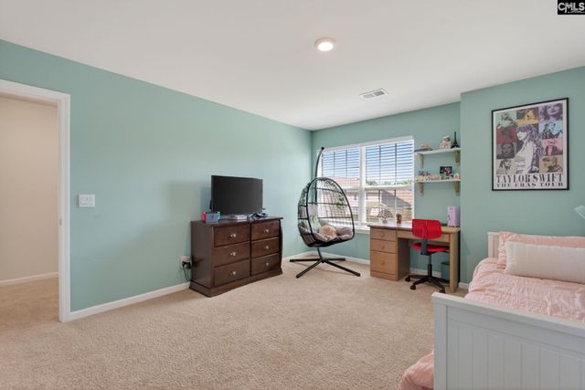 1619 Birch Grain Road, Chapin, SC 29036