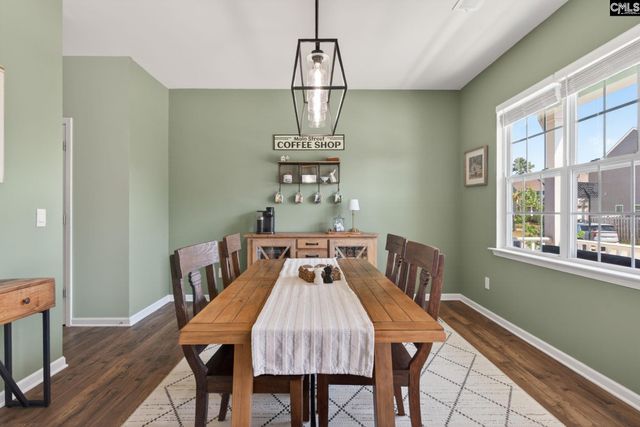 1619 Birch Grain Road, Chapin, SC 29036