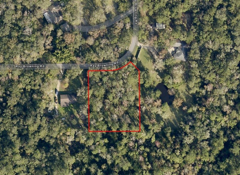 0 RAY BROWNING ROAD, Brooksville, FL 34601