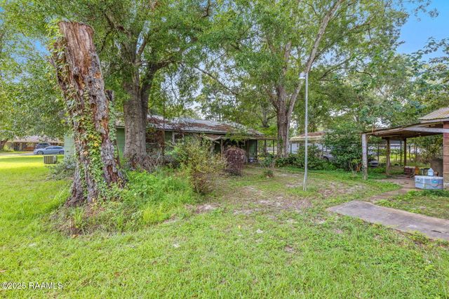 141 Spanish Moss Lane, Evangeline, LA 70537