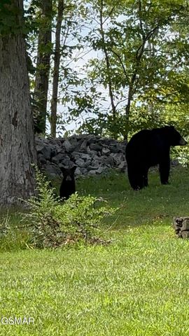 2749 Owls Cove Way, Sevierville, TN 37862