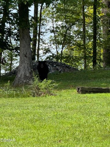 2749 Owls Cove Way, Sevierville, TN 37862