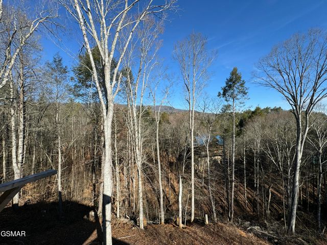 2749 Owls Cove Way, Sevierville, TN 37862