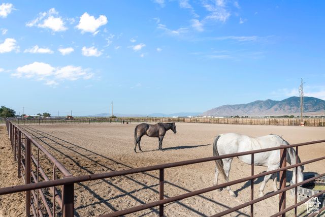 3670 GUNDERSEN CIR, Erda, UT 84029