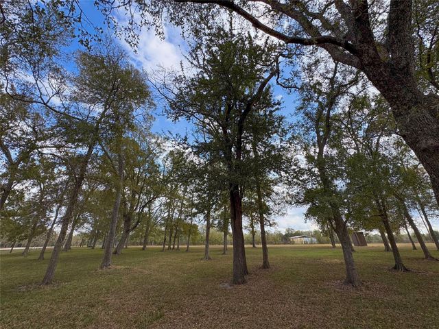 000 Baldwin Drive, Hungerford, TX 77448