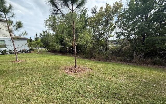 21312 DARTER ROAD, Land O Lakes, FL 34638