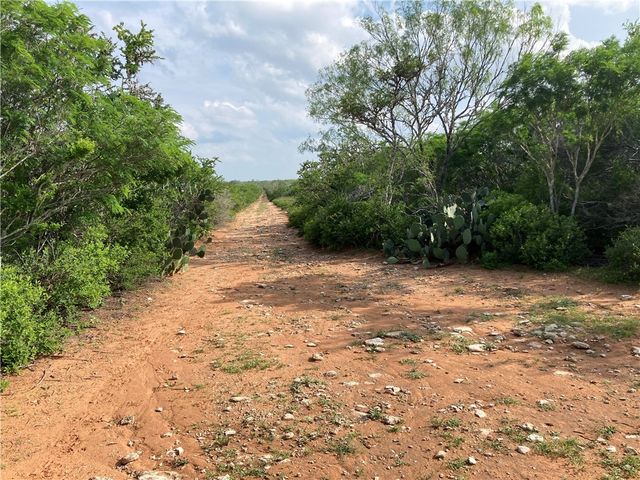 101 CR 101, San Diego, TX 78384
