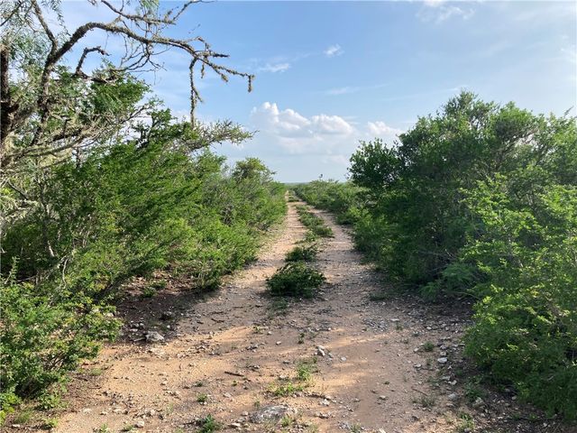101 CR 101, San Diego, TX 78384