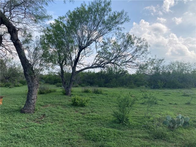 101 CR 101, San Diego, TX 78384