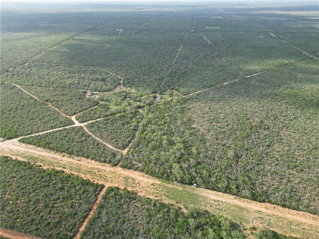 101 CR 101, San Diego, TX 78384