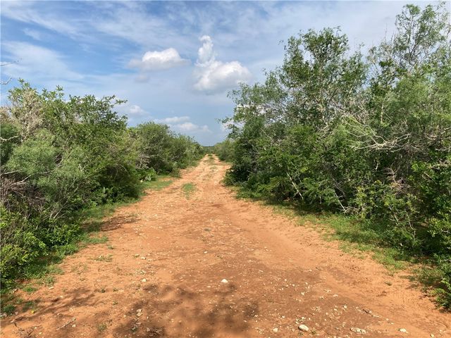 101 CR 101, San Diego, TX 78384