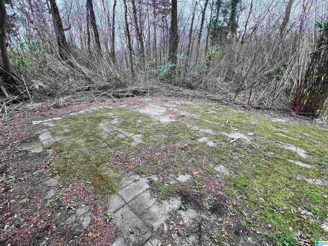 5150 AMBERWOOD LANE, Pinson, AL 35126