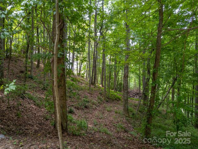 20 Highland Point Drive, Hendersonville, NC 28739