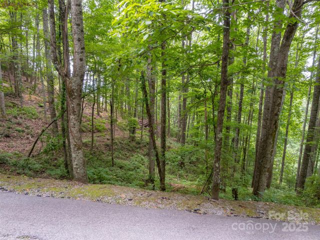 20 Highland Point Drive, Hendersonville, NC 28739