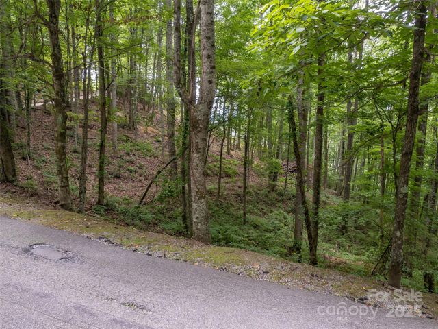 20 Highland Point Drive, Hendersonville, NC 28739