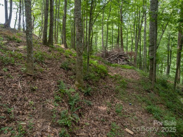 20 Highland Point Drive, Hendersonville, NC 28739