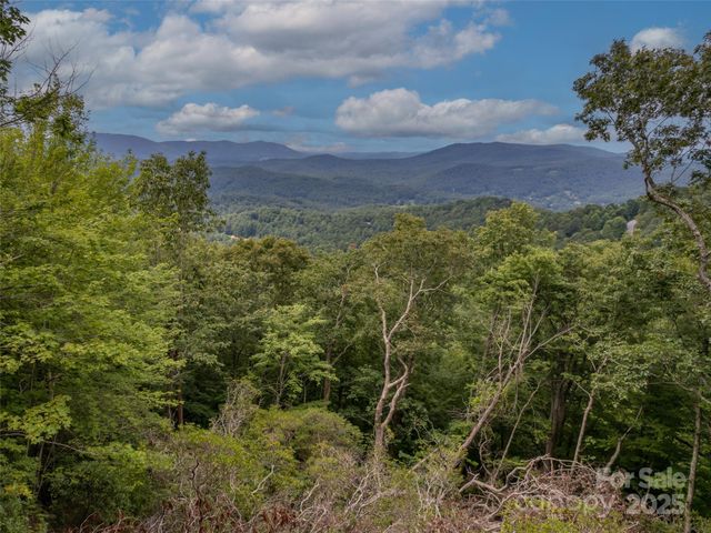 20 Highland Point Drive, Hendersonville, NC 28739