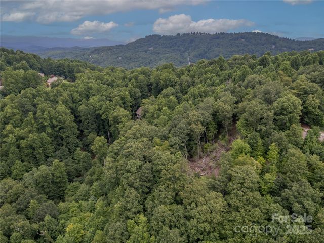 20 Highland Point Drive, Hendersonville, NC 28739