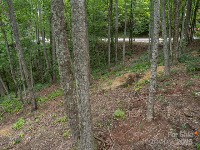 20 Highland Point Drive, Hendersonville, NC 28739