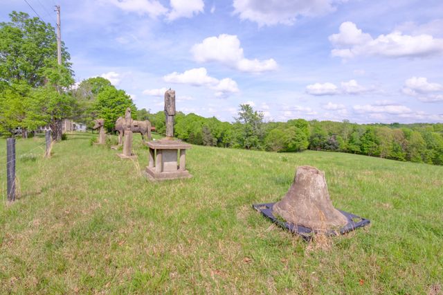 3915 Oak Ridge Rd, Palmyra, TN 37142