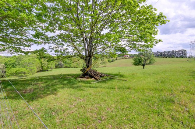 3915 Oak Ridge Rd, Palmyra, TN 37142