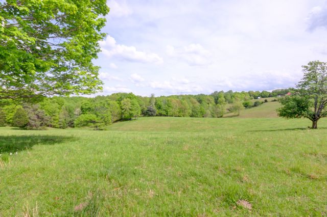 3915 Oak Ridge Rd, Palmyra, TN 37142