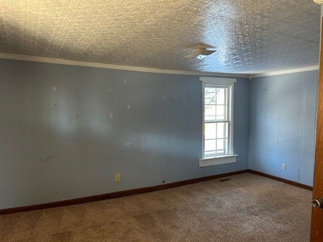 3915 Oak Ridge Rd, Palmyra, TN 37142
