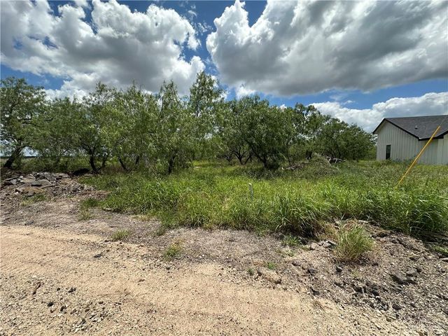 0 Calichera Road, Edinburg, TX 78541