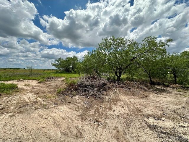0 Calichera Road, Edinburg, TX 78541