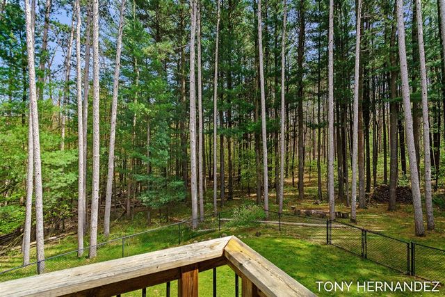 102 Sagamore Trail, Lowell, MI 49331