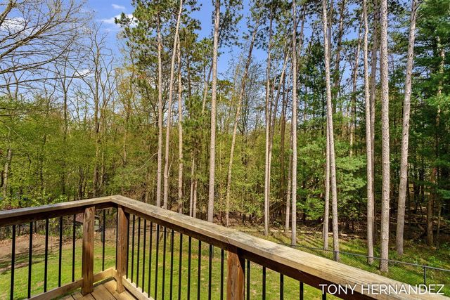 102 Sagamore Trail, Lowell, MI 49331