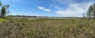 8335 FLORIDA BOYS RANCH ROAD, Groveland, FL 34736