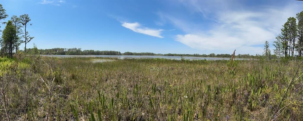 8335 FLORIDA BOYS RANCH ROAD, Groveland, FL 34736